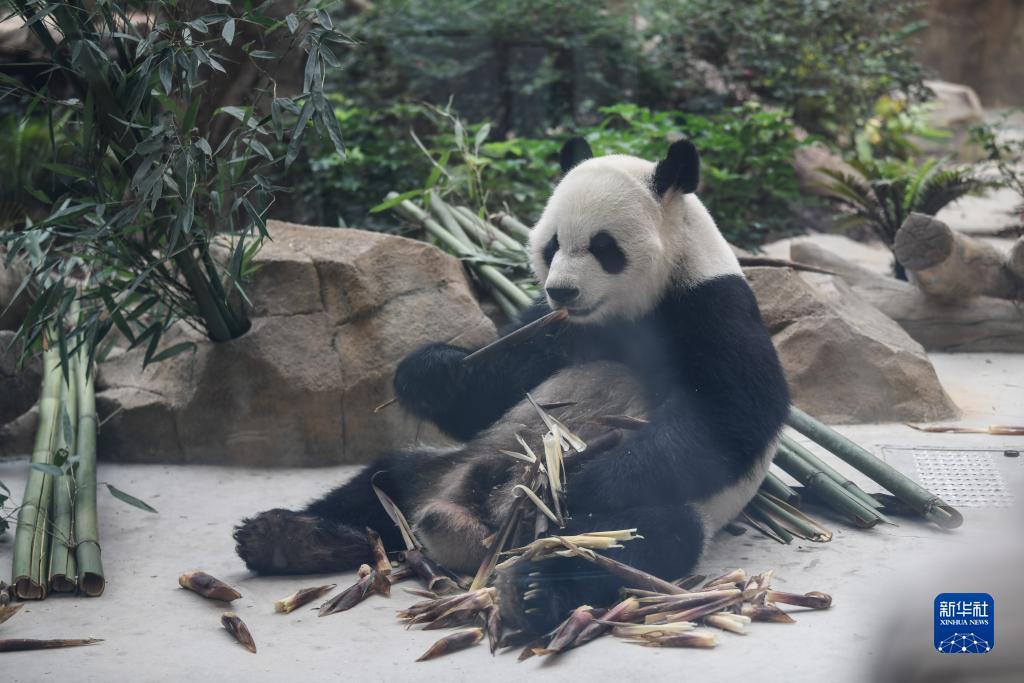 捕鱼争霸赛